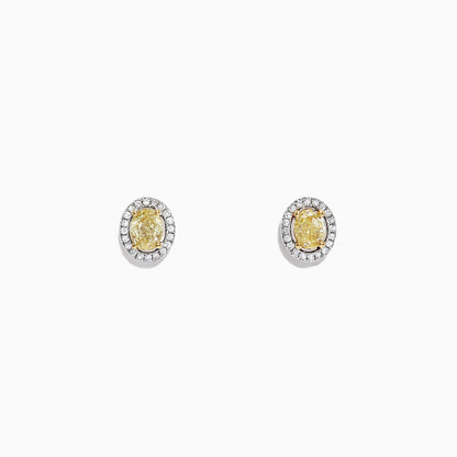 14K solid gold diamond hoop earrings for women with brilliant round-cut diamonds, perfect for luxury everyday wear.